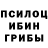 Псилоцибиновые грибы прущие грибы UTouchMy Gi
