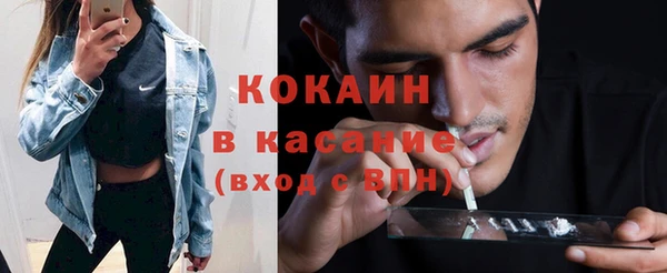 ПСИЛОЦИБИНОВЫЕ ГРИБЫ Арсеньев