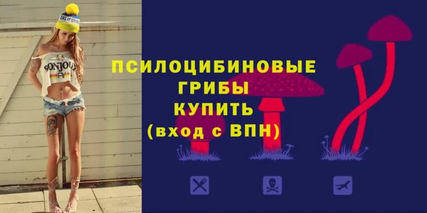 ПСИЛОЦИБИНОВЫЕ ГРИБЫ Арсеньев