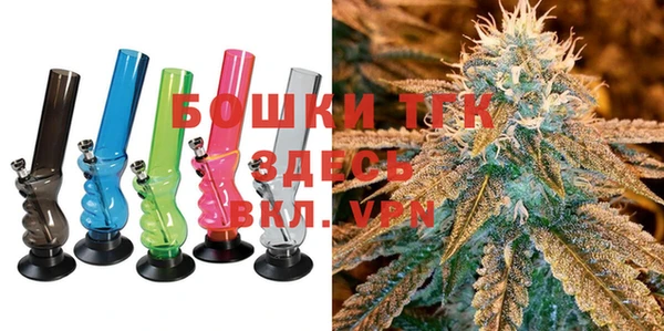 ПСИЛОЦИБИНОВЫЕ ГРИБЫ Арсеньев