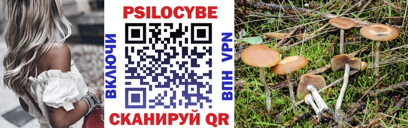 mega ссылки  Таруса  Псилоцибиновые грибы Psilocybe 